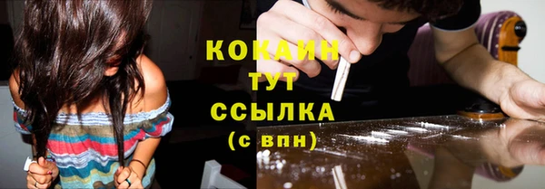 ГАЛЛЮЦИНОГЕННЫЕ ГРИБЫ Елабуга