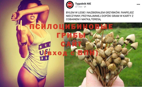 а пвп мука Елизово