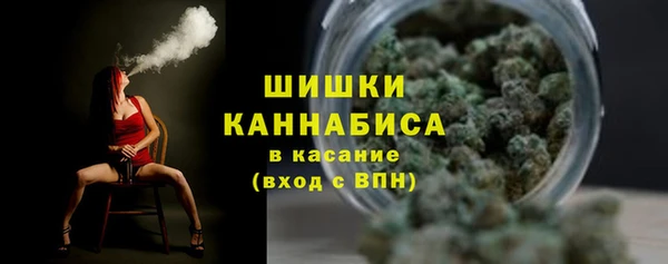 ГАЛЛЮЦИНОГЕННЫЕ ГРИБЫ Елабуга