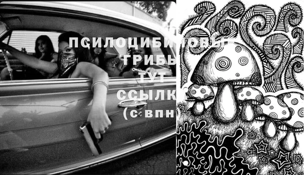 а пвп мука Елизово