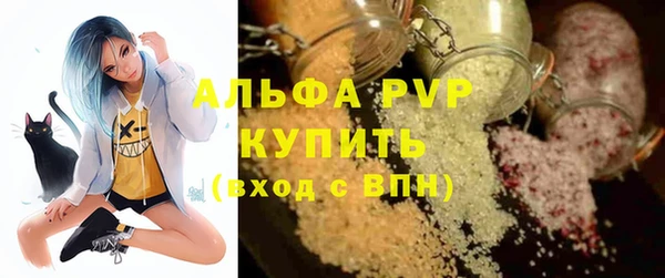 ГАЛЛЮЦИНОГЕННЫЕ ГРИБЫ Елабуга