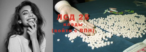 ГАЛЛЮЦИНОГЕННЫЕ ГРИБЫ Елабуга