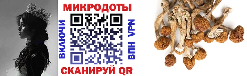 Купить  Котельники  Галлюциногенные грибы ЛСД 